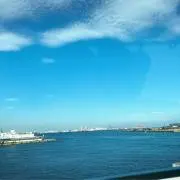 くぅの画像