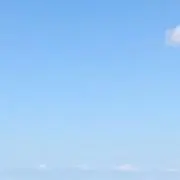 断捨離中