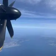 けんティーの画像