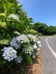 KTMCの画像