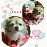 ひめちゃん♡