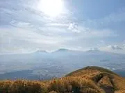 やすの画像