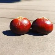 てつじろうの画像
