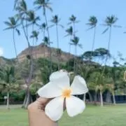 ハナの画像