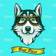 マツヤ  ※プロフ必読※