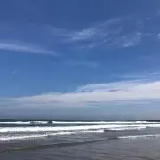 海の画像