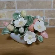 もかちょの画像