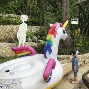acocoの画像