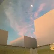しめじの画像