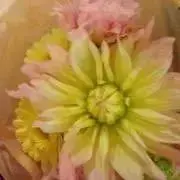 ikuoの画像
