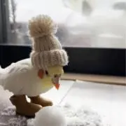 khaoの画像