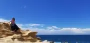ワンだふるの画像
