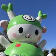 やまちゃんの画像