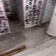 にゃんにゃん