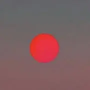 サニー