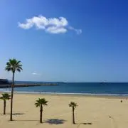 Aki@