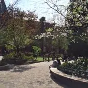 OlIve プロフ必読
