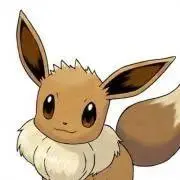 ポケットの画像