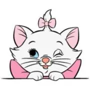 k.の画像