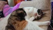 山内みなこの画像