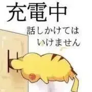 あきゃの画像
