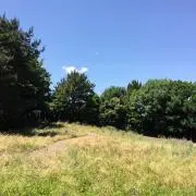 ナリノの画像