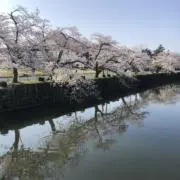 イエス