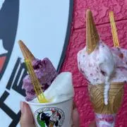 もこもこの画像