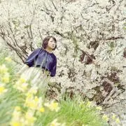 柏木梔☆