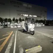 ハマの画像