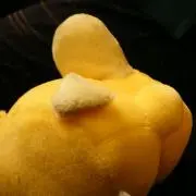 セインの画像