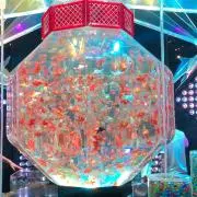 きくちの画像