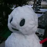 きのこ