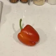 ngmの画像