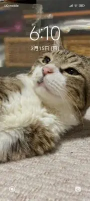 信くんの画像