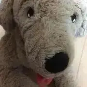 セバスの画像