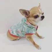 Bonnyの画像