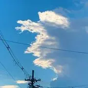 mocoの画像