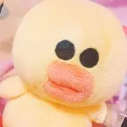 アヒルの画像