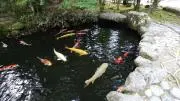 まりの画像