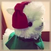 クロウサの画像