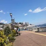 ⭐︎まめ⭐︎プロフィール必読の画像