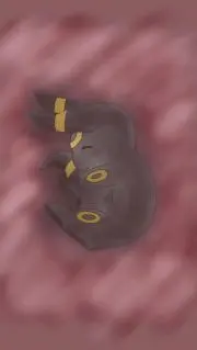 羽瑠華