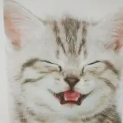 高橋(プロフ読んでね)セールの画像
