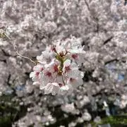 なりu_uの画像