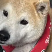 みら