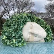 たっちんの画像
