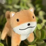 うわのの画像