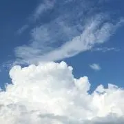 よし子の画像
