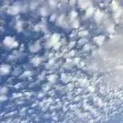 Ｍの画像